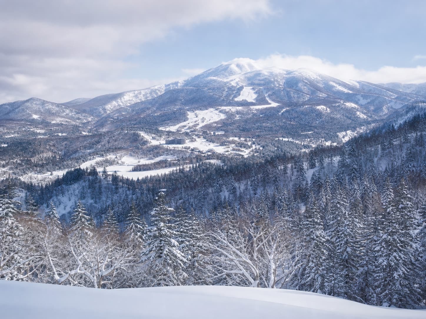 Vallée montagneuse enneigée et forêt de conifères